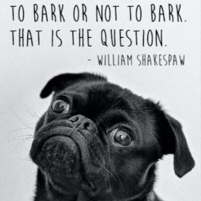 funny dog quote william shakespeare doggylittle french bulldog humor sq2