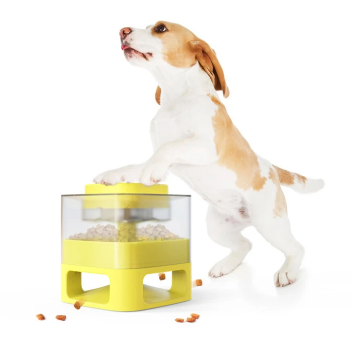 little dog auto dog feeder members only discount