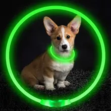 little dog lighted dog safety collars members only discount