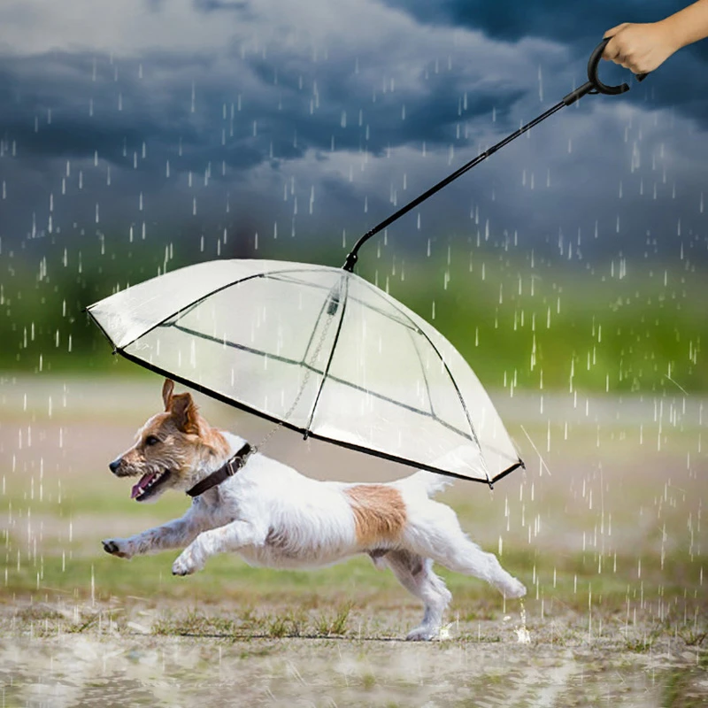 little dogs rain umbrella puppy accessory members only discount