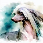 chinese crested hairless dog breed image photo graphic visual watercolor portrait doggylittle.com