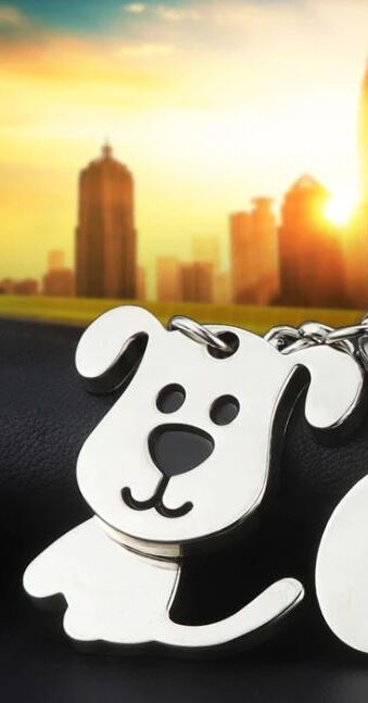 Wiggle-Waggle Doggy Keychain FREE bonus custome 5 star review B doggylittle