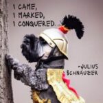 funny famous small dog quotes laugh humorous quotations doggylittle julius caesar came saw conquered quotation 400sq